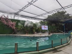 -广州长隆飞鸟乐园
