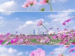 -海珠湖公园