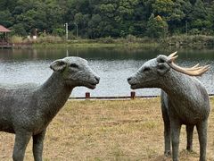 -海南热带雨林国家公园吊罗山景区