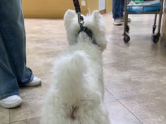 -美联众合动物医院·24h转诊中心