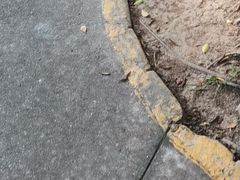 -广东科贸职业学院(白云校区)