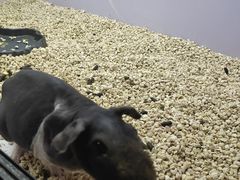 -昆明大悦城未来动物城(螺蛳湾中心店)