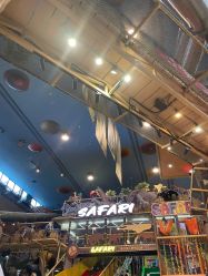 -卡通尼·Safari非洲探索乐园·生日会(金桥国际商业广场店)