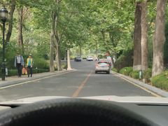 -棒棰岛宾馆景区