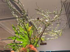 -一坐一忘云南菜(嘉里中心店)
