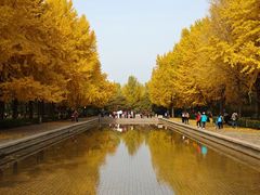-玲珑塔公园