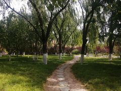 -莲花池公园