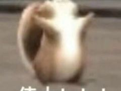 -刀马旦养生中心(时代店)