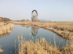 -苏州太湖湖滨国家湿地公园