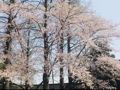 -茅家埠