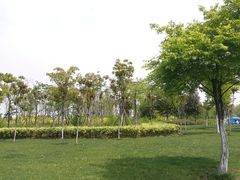景点-尚贤河湿地