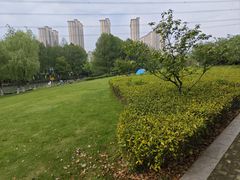 -九里河湿地公园