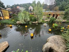 -湘力力小院·鱼汤泡饭(枫林路店)