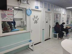 -达爱动物医院·犬猫分区·CT·复杂眼科(远洋山水分院)