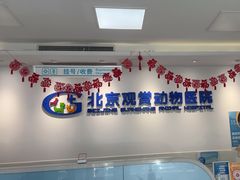 -北京观赏动物医院·24小时大型综合·猫专科·异宠专科