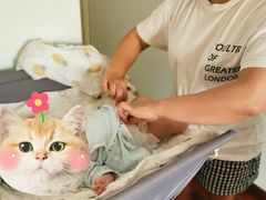 -田螺阿姨自营月嫂·育儿嫂(高新店)