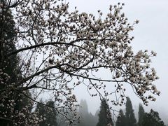 -毛泽东同志旧居