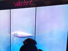 -温莎KTV(珠江路店)