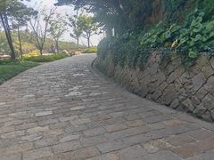 -普陀山风景区-佛顶山