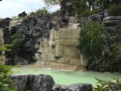 -吴淞炮台湾湿地森林公园烧烤区