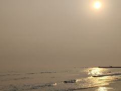 -贝壳沙滩