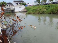 -乡乐园蟹庄·阳澄湖农家乐