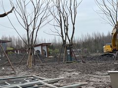 -东平国家森林公园