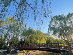 -元大都城垣遗址公园