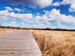 -塞罕坝国家级自然保护区