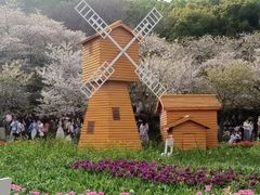 -苏州上方山国家森林公园