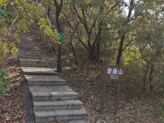 -金龙寺国家森林公园