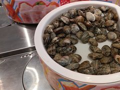 -龍歌自助小火锅(芝罘万达店)