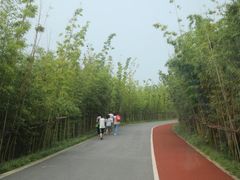 -上海长兴岛郊野公园