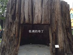 -信不信由你博物馆