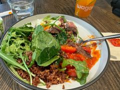 -Wagas沃歌斯(虹口龙之梦店)