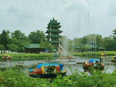 -桂湖森林公园