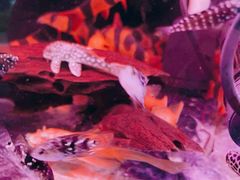 -三旗百汇商品城