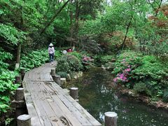 -杭州半山国家森林公园