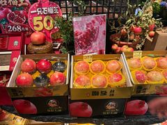 -淮扬府·游园京梦(北京SKP店)