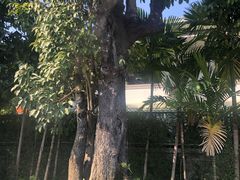 -Chom Cafe and Restaurant