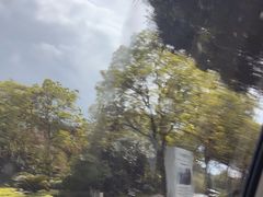 -美的鹭湖森林度假区