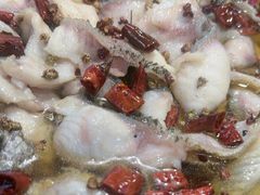 -金三可市井水煮鱼(金碧园店)