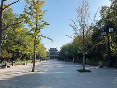 -迎泽公园