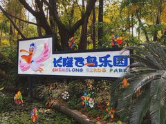 -广州长隆飞鸟乐园