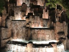 -拉斯维加斯永利酒店