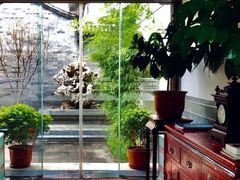 皇家博物馆版顶级四合院-北京古城老院厉晓麟精致菜