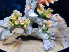 -欢乐海岸海洋奇梦馆