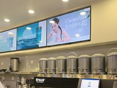 -雾与山茶(大禹城店)