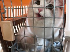 -达爱动物医院·犬猫分区·CT·复杂眼科(远洋山水分院)