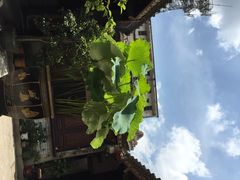 载阳客栈-载阳客栈